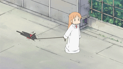 a(n) random gif